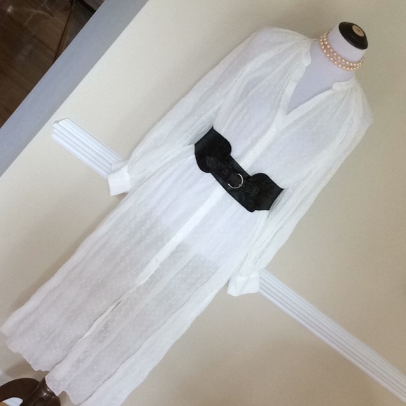 Zara Dresses & Skirts - Zara white crinkle dotted Swiss button front dre